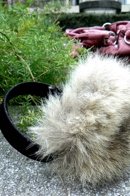 禦寒耳罩購於溫哥華 earmuff