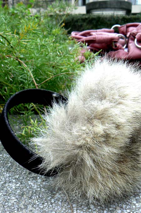 禦寒耳罩購於溫哥華 earmuff