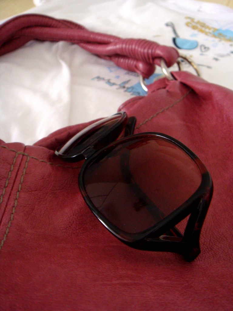 roberto vianni sunglasses and aldo bag