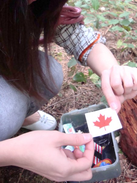 geocache content