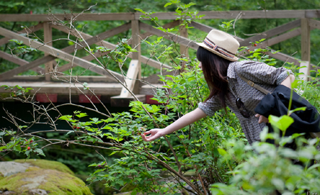 草編紳士帽 straw fedora